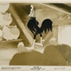 photo du film Symphonie d'une cour de ferme