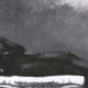 photo du film Les Vampires