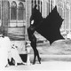 photo du film Les Vampires