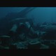 photo du film Pearl Harbor