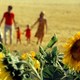 photo du film Le Bonheur