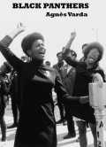 voir la fiche complète du film : Black Panthers