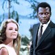 Voir les photos de Sidney Poitier sur bdfci.info