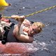 photo du film Piranha 3D