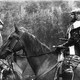 photo du film Le Château de l'araignée
