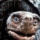 photo du film L'Histoire sans fin