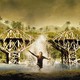 photo du film Le pont de la rivière Kwai