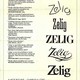 photo du film Zelig