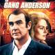 photo du film Le Gang Anderson