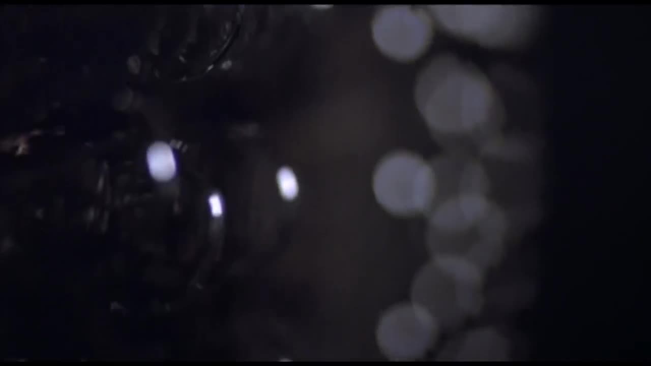 Extrait vidéo du film  Que le spectacle commence...