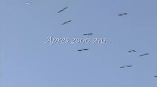 Extrait vidéo du film  Où vas-tu, Moshé ?
