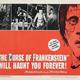 photo du film Frankenstein s'est échappé