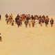 photo du film Les Baliseurs du désert