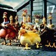 photo du film Chicken Run