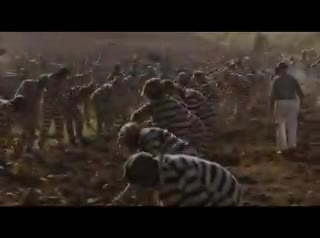 Un extrait du film  La Ligne verte