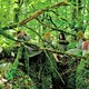 photo du film Les Sorcières d'Akelarre
