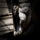 photo du film Les Statues meurent aussi