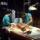 photo du film Re-animator 2