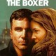 photo du film The Boxer