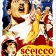photo du film Le Cheik blanc