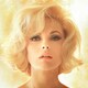 Voir les photos de Virna Lisi sur bdfci.info
