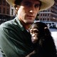 photo du film Rêve de singe