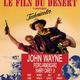 photo du film Le Fils du désert