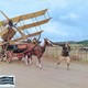 photo du film Ces merveilleux fous volants dans leur drôles de machines