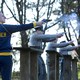 photo du film Foxcatcher