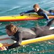 photo du film Chasing Mavericks