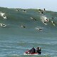 photo du film Chasing Mavericks