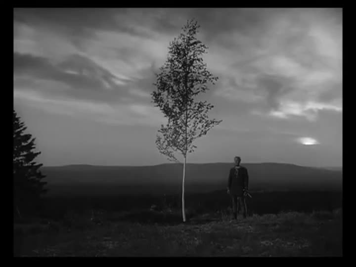 Extrait vidéo du film  La Source