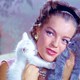photo du film Boccace 70