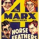 photo du film Plumes de cheval