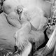photo de Jean Harlow