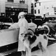 photo de Jean Harlow