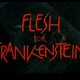 photo du film Chair pour Frankenstein