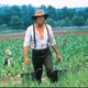 photo du film Sommersby