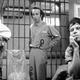 photo du film Down by Law