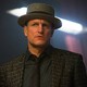 Voir les photos de Woody Harrelson sur bdfci.info
