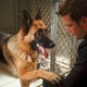 photo du film Comme chiens et chats : La revanche de Kitty Galore (3D)