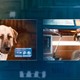 photo du film Comme chiens et chats : La revanche de Kitty Galore (3D)