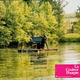 photo du film La Couleur pourpre