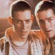 photo du film Les Frères Falls