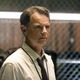 Voir les photos de Bruce Greenwood sur bdfci.info