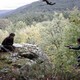 photo du film Les proies
