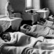 photo du film Les Enfants de Russie