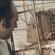 photo du film Benjamin ou les mémoires d'un puceau