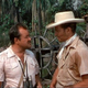 photo du film Quand la Marabunta gronde