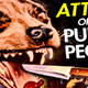 photo du film Attack of the Puppet People